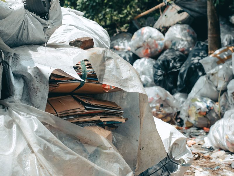 A closeup of some cardboard garbage in a white plastic bag, among many piles of garbage.