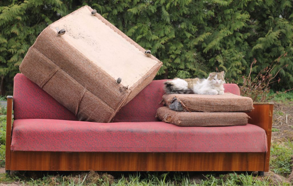 A cat sitting on an old, broken red couch that has been placed outdoors along with several damaged cushions and an ottoman.